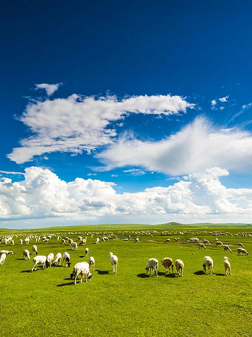 谁到内蒙古只为了看草原呀？内蒙景点汇总！