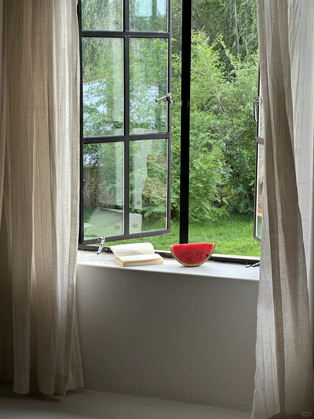 live｜新疆的初夏