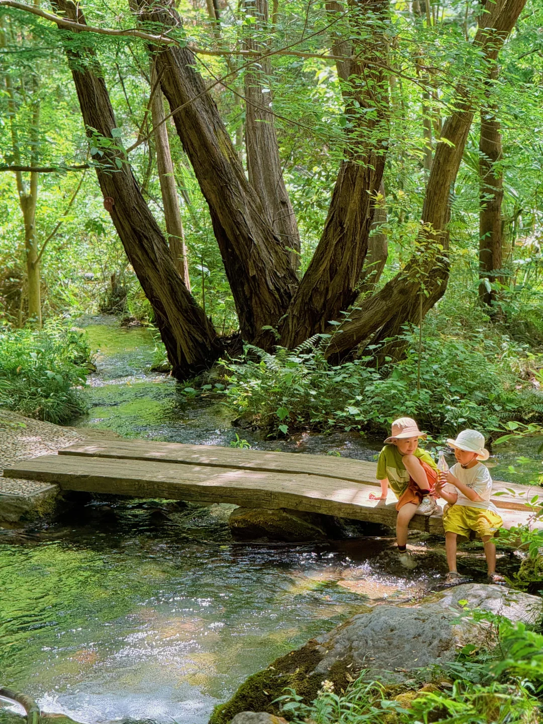 西安2天1夜✅带娃去童话森林住木屋玩瀑布~