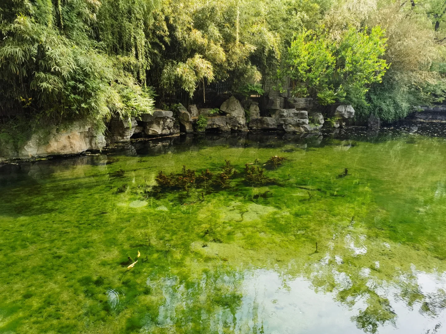 济南｜五龙潭公园