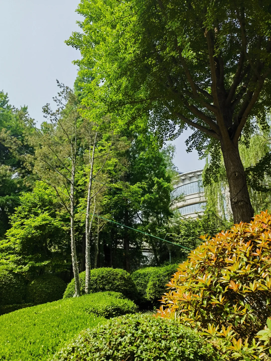 济南｜五龙潭公园