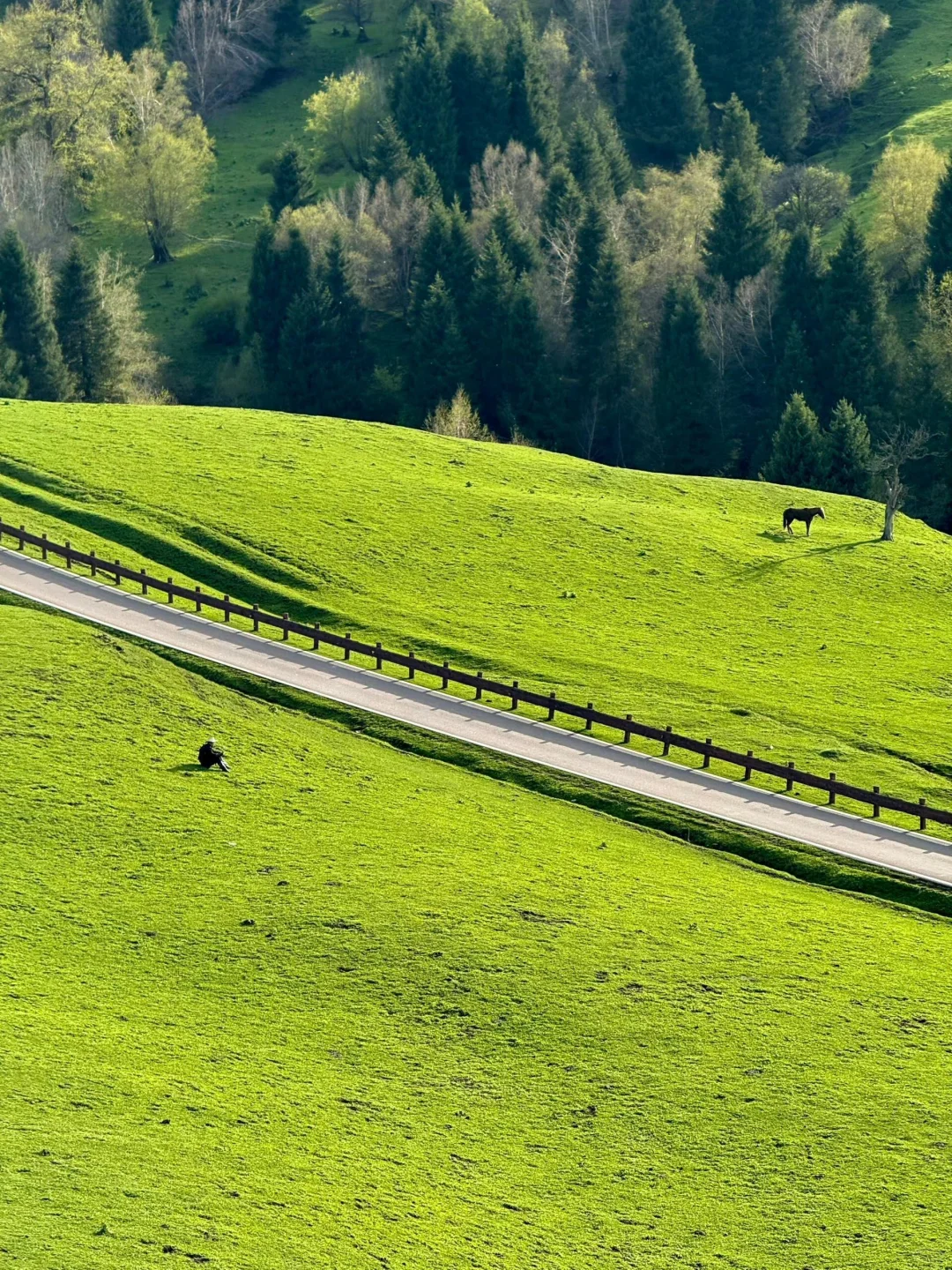新疆伊犁小团已回，谈谈真实感受（8天7晚）