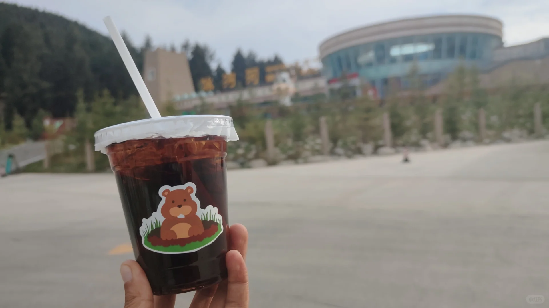 冰沟河|土拨鼠出来了