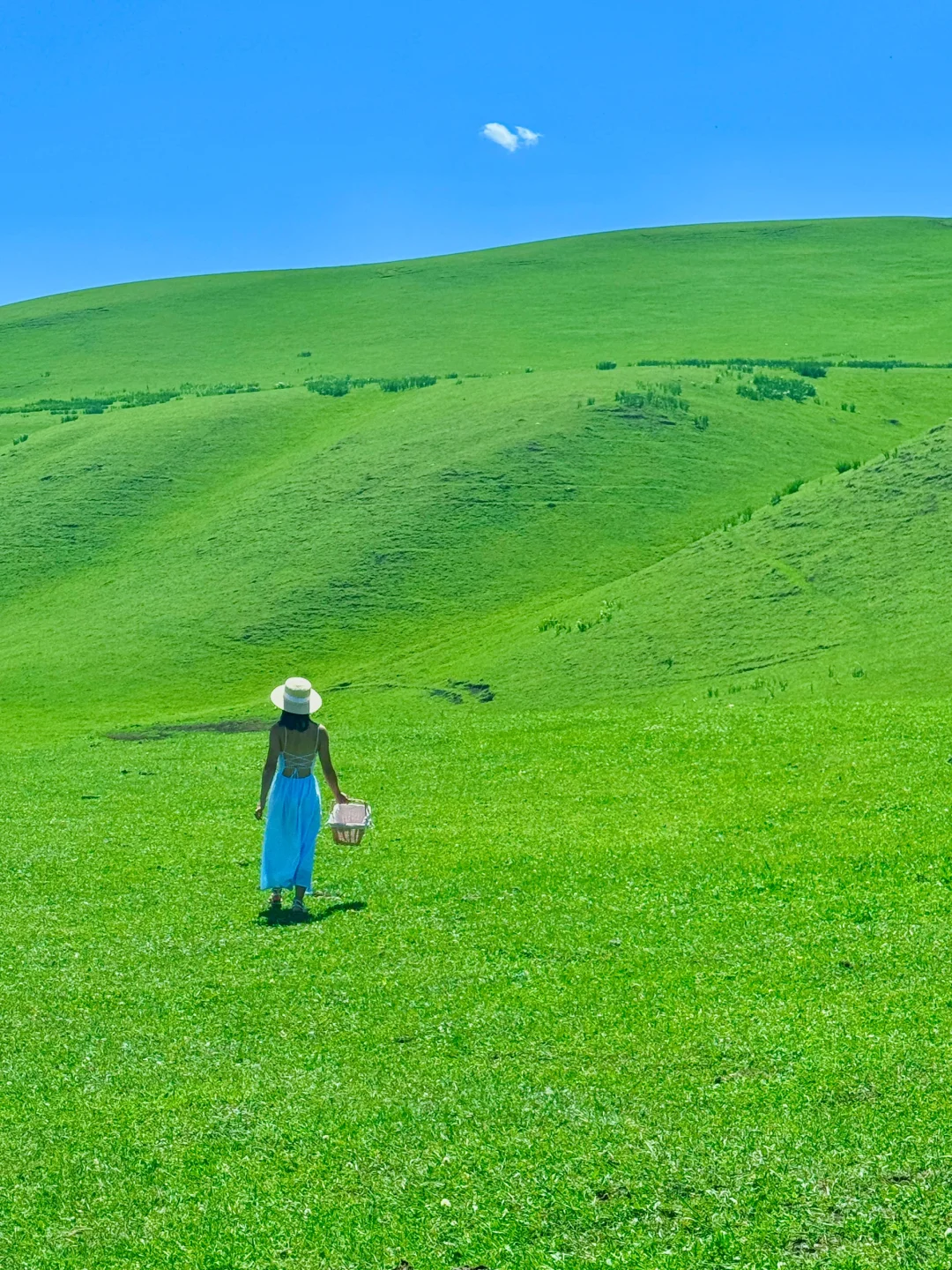 “在新疆拍到了我的人生live图~”