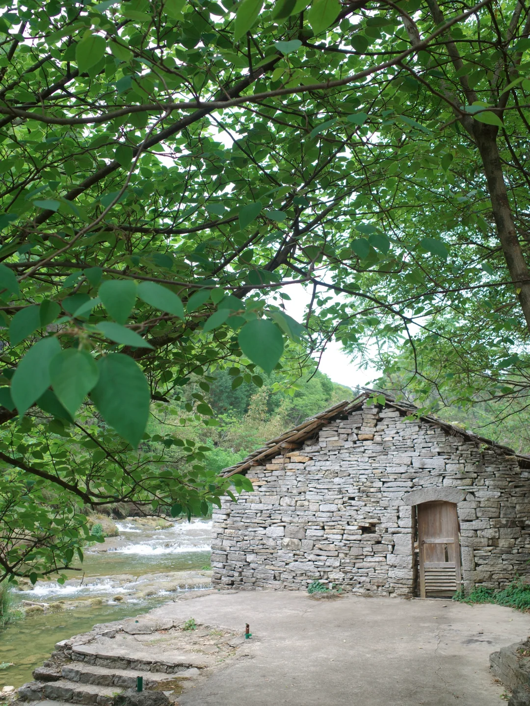 安顺|除了黄果树,这些小众景点值得解锁💓