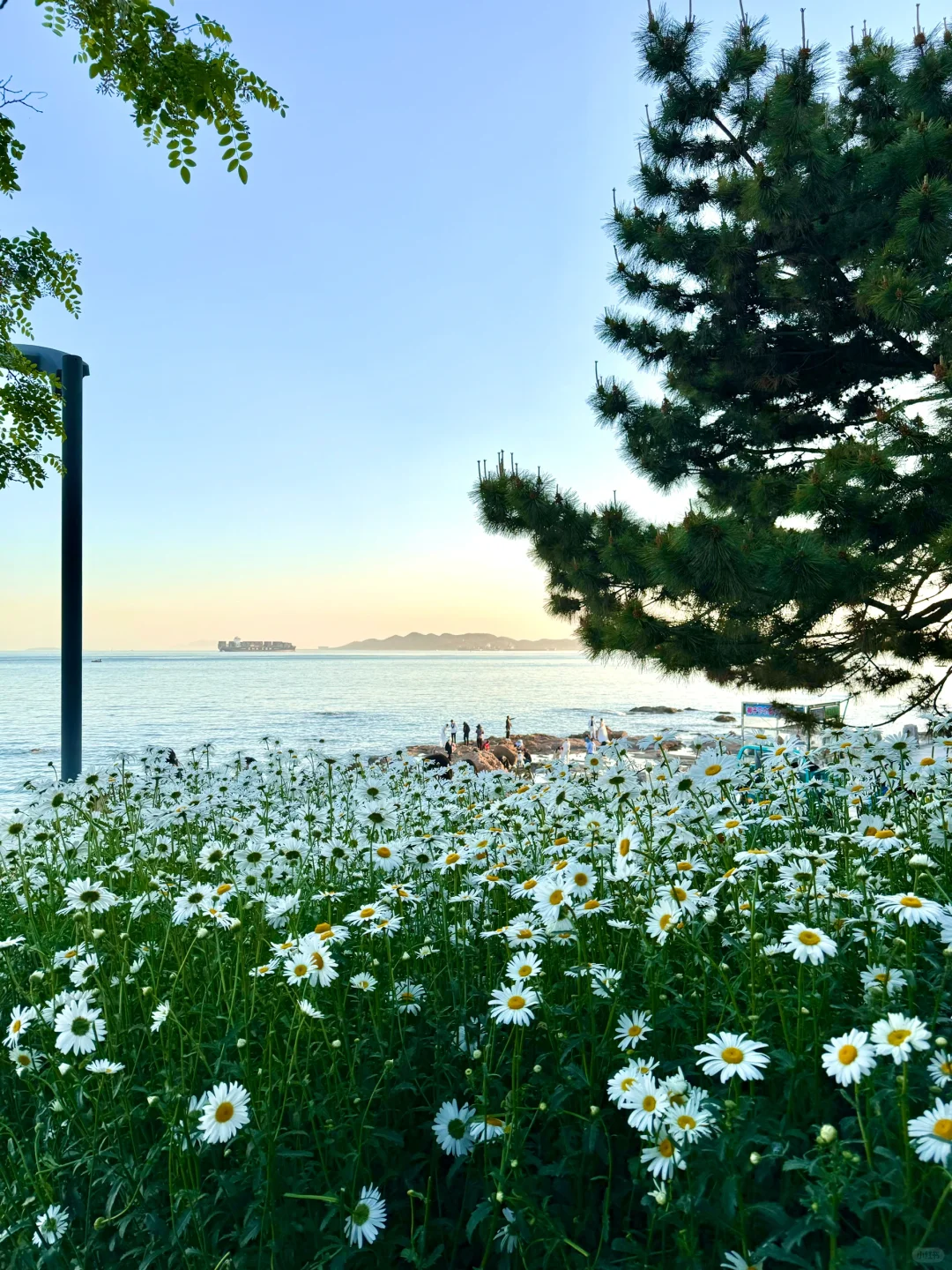 从济南出发！一条神仙级的看海citywalk路线