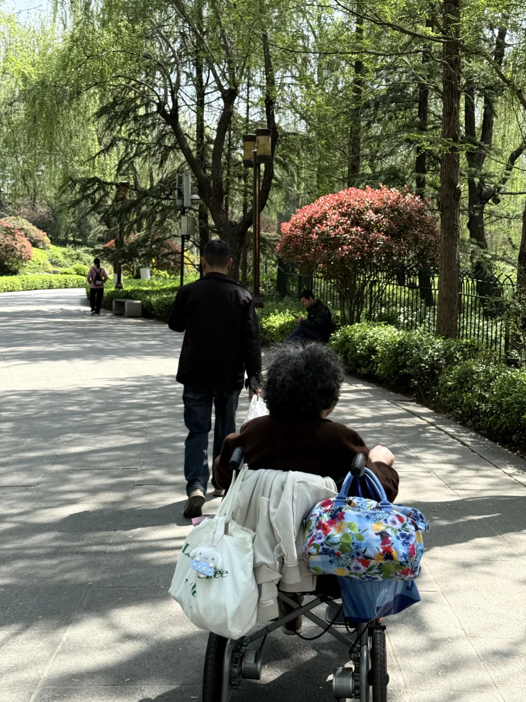 半城山色半城湖·济南