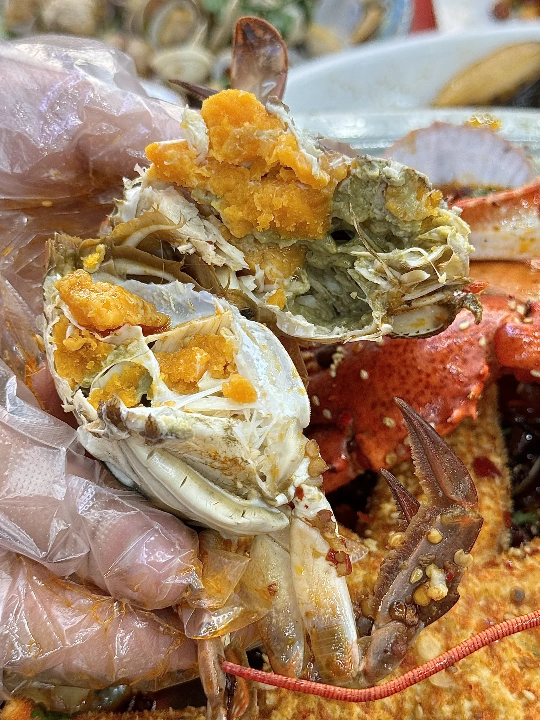 5.18青岛实况！！淡季人好少啊！！