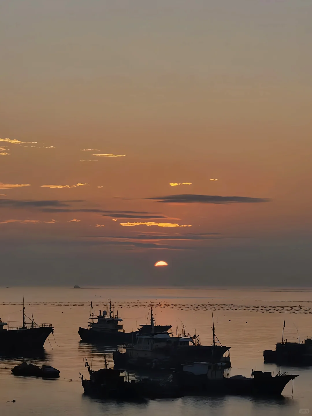 听劝👂5月-9月来湄洲岛的姐妹请🐴住