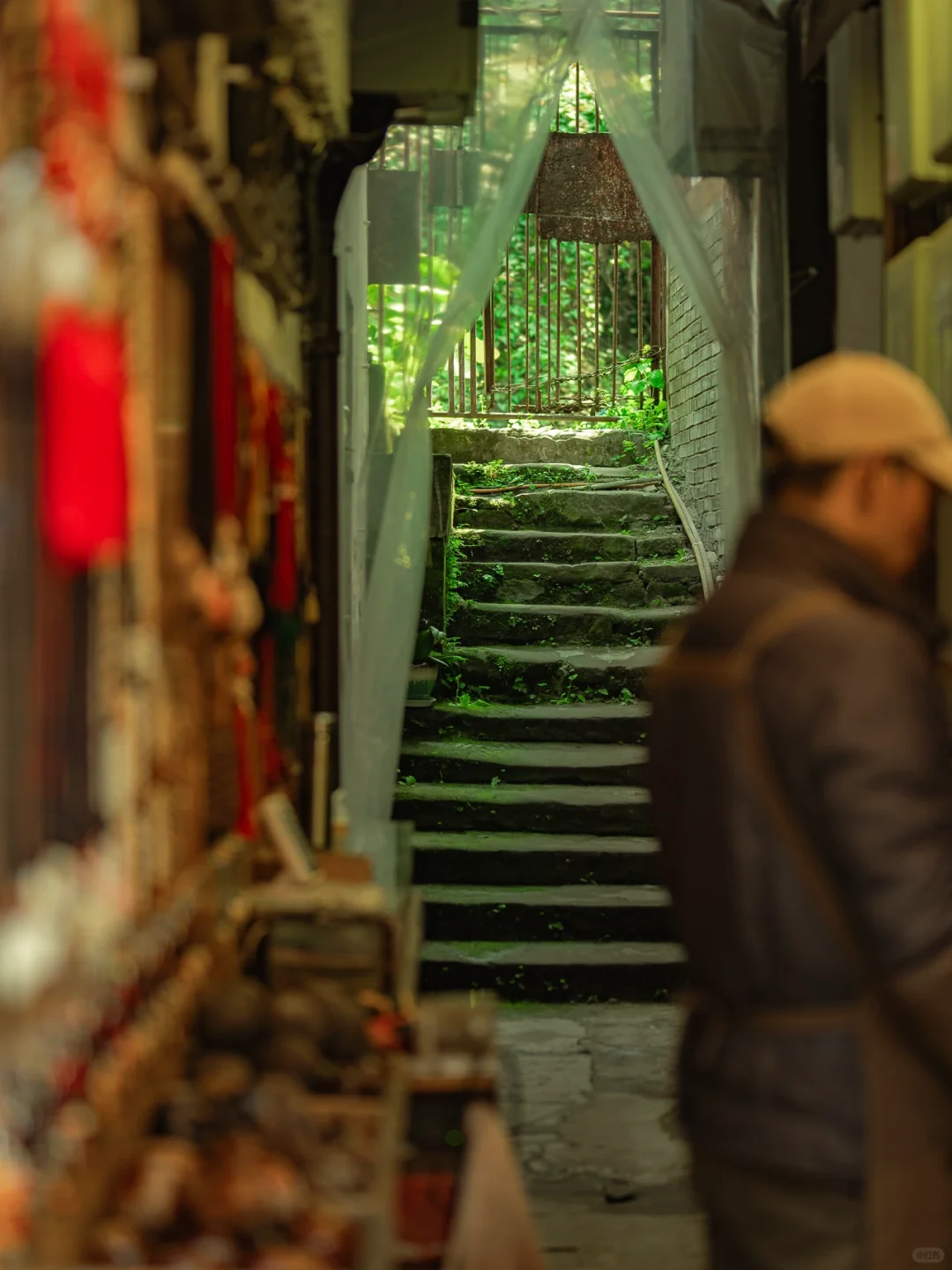 我好像拍到了小时候的夏天。