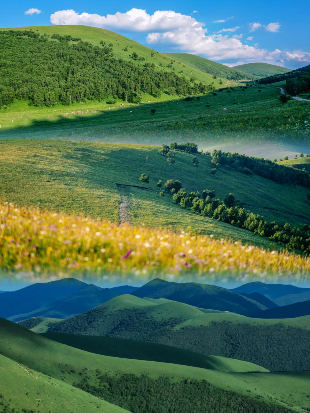 🌿误入上帝的后花园｜宫崎骏看了都得愣3秒‼️