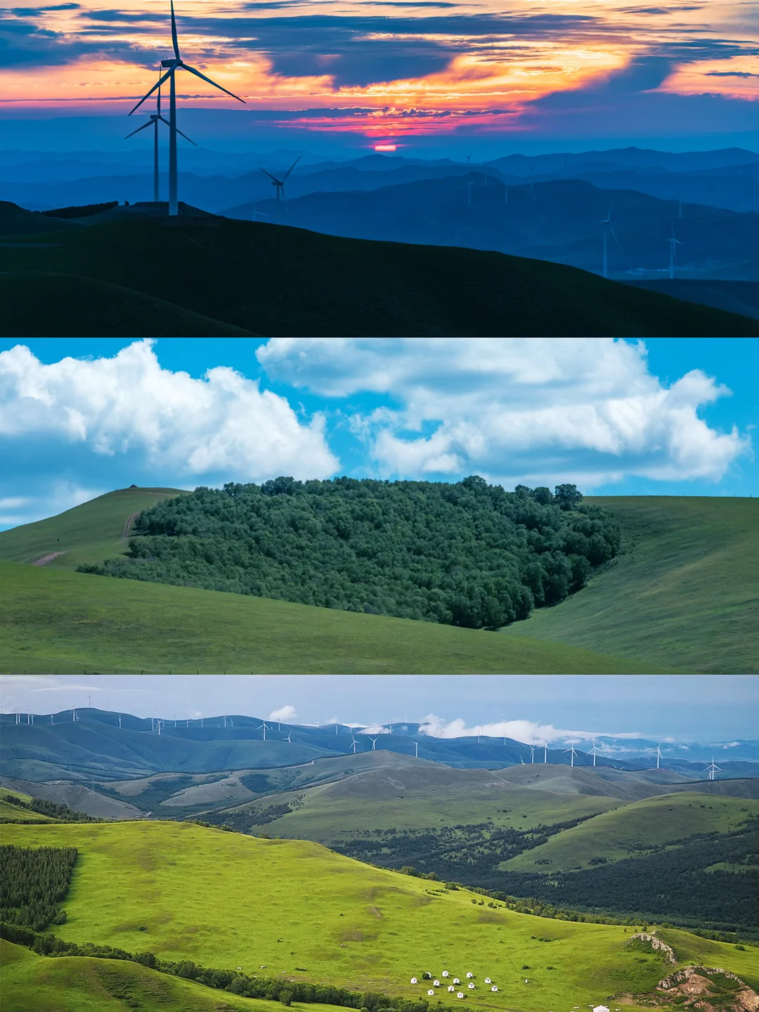 🌿误入上帝的后花园｜宫崎骏看了都得愣3秒‼️