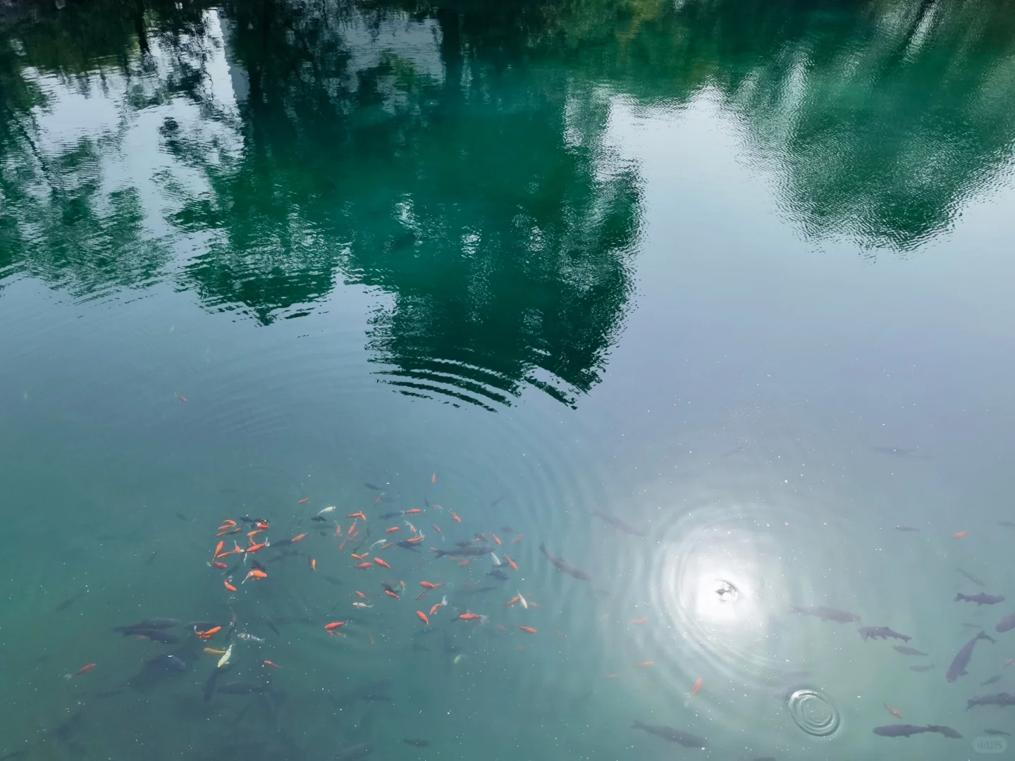 济南｜五龙潭公园