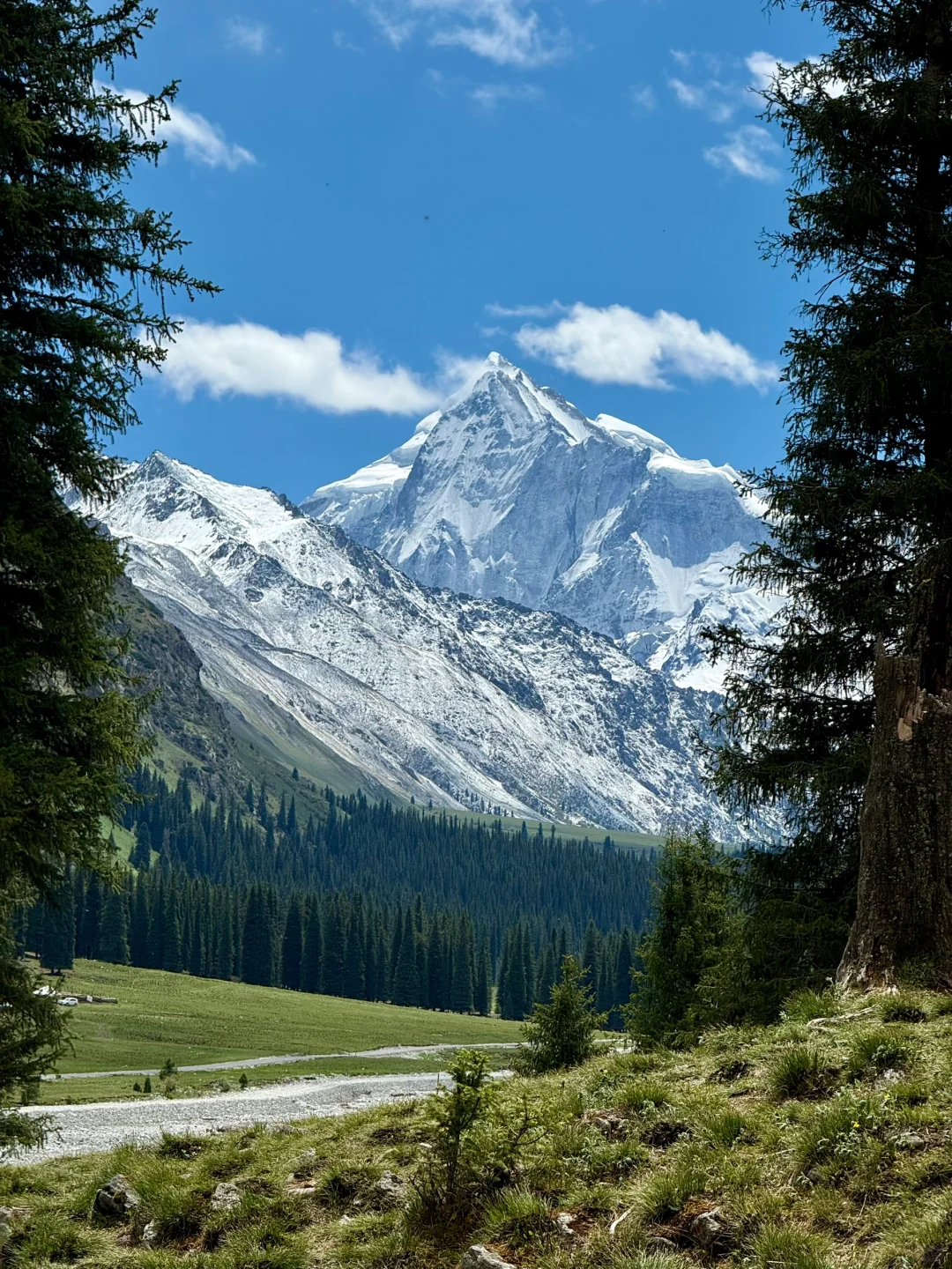 夏塔真的会惩罚每一个下午才进景区的人..