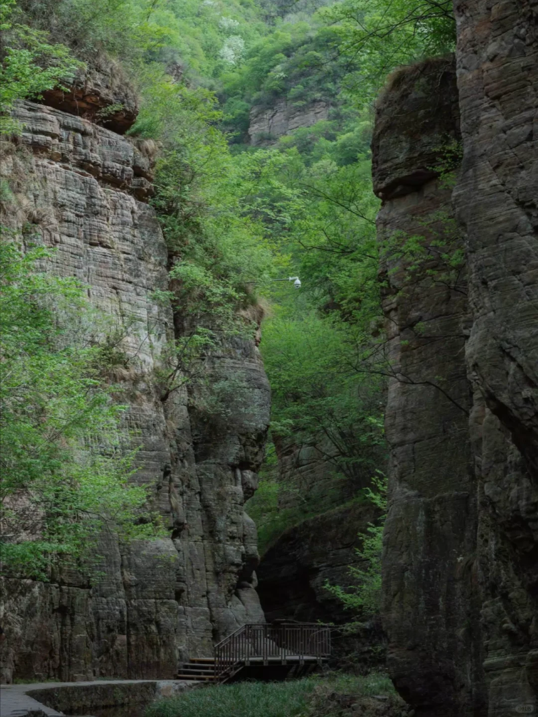 ✨ 龙潭大峡谷｜一生必去的地质仙境🌟