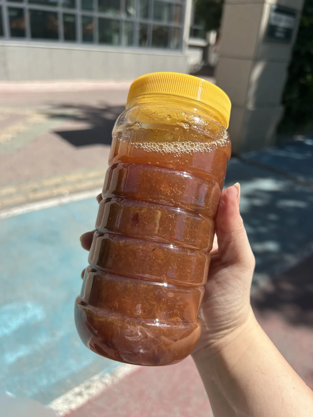 塔城保姆级攻略