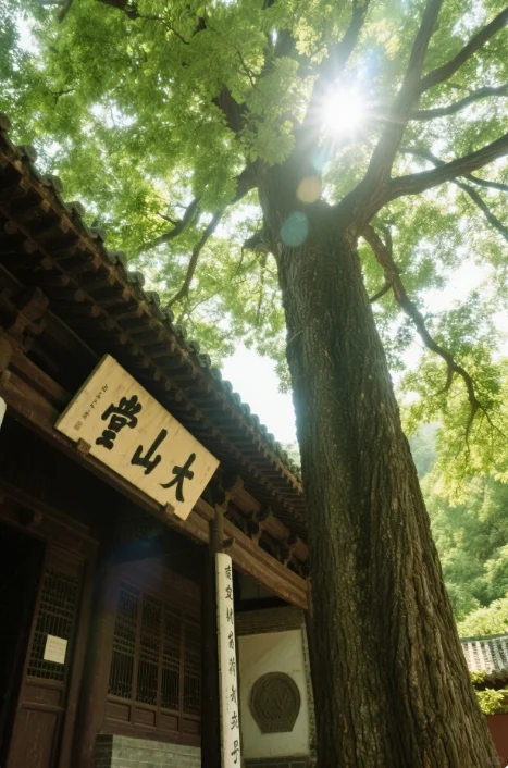 🌟【登封旅游攻略】2天1夜玩转禅武圣地！