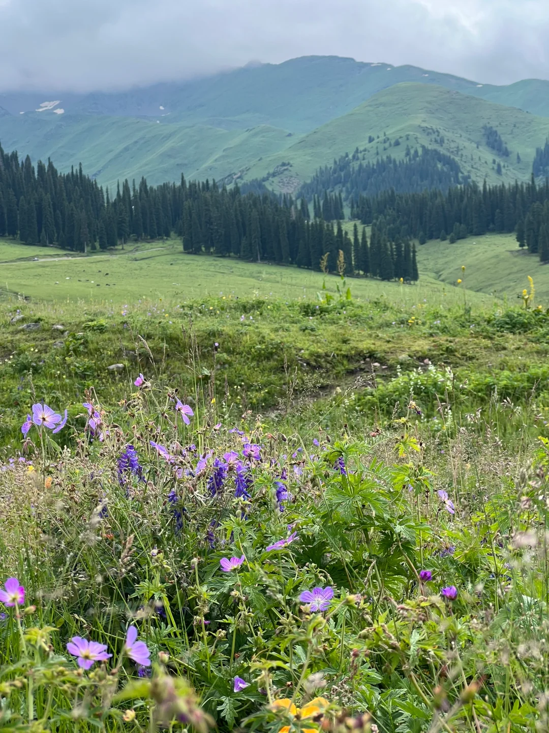 为什么今年大家都在劝退新疆？有这么糟糕吗？