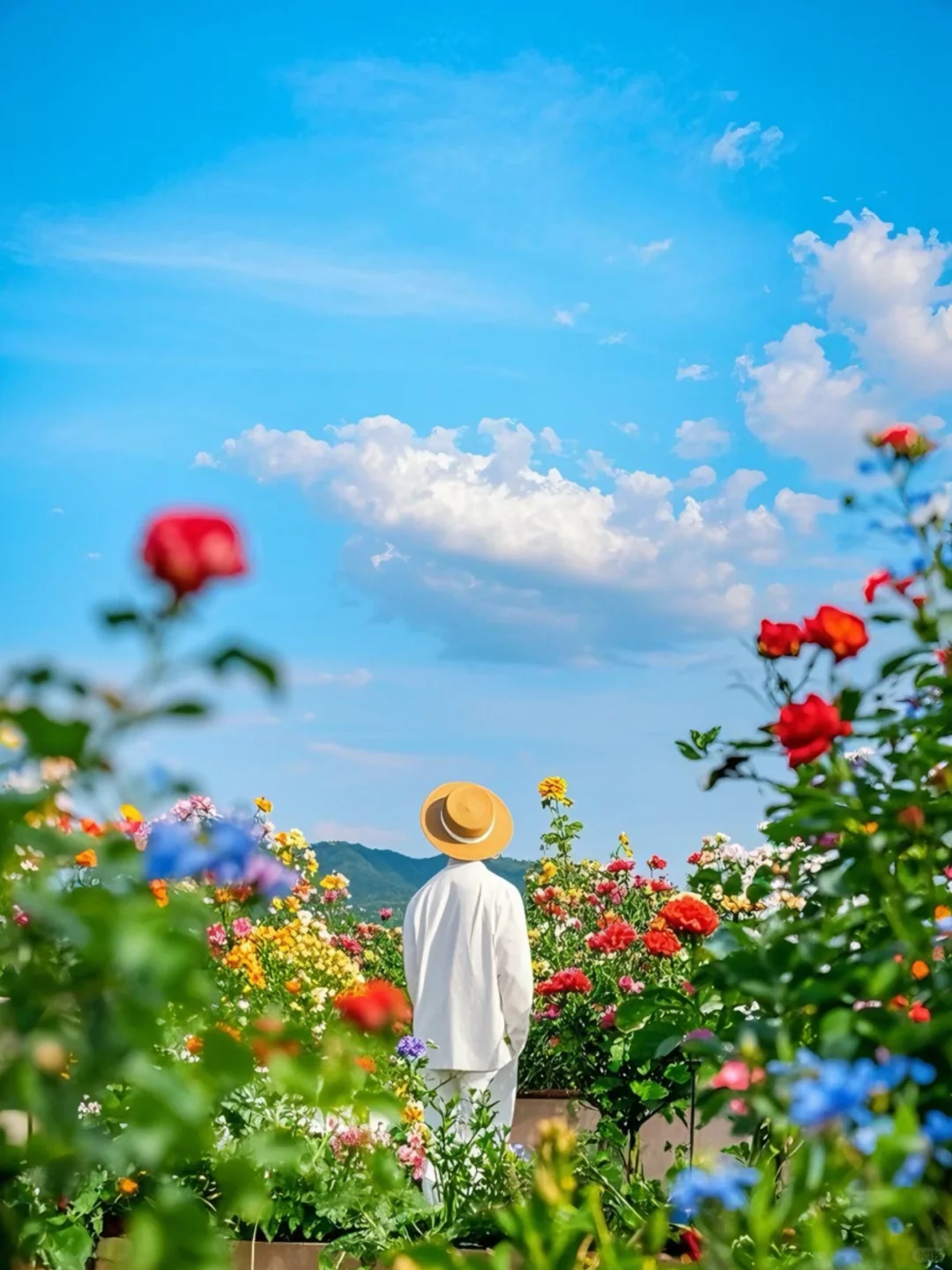 反向旅游天花板!江浙沪高铁2h直达人间仙境