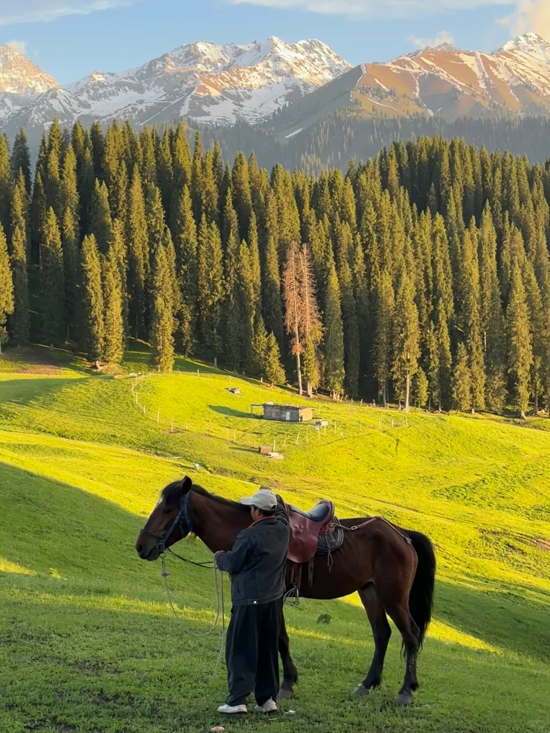 live｜新疆的初夏