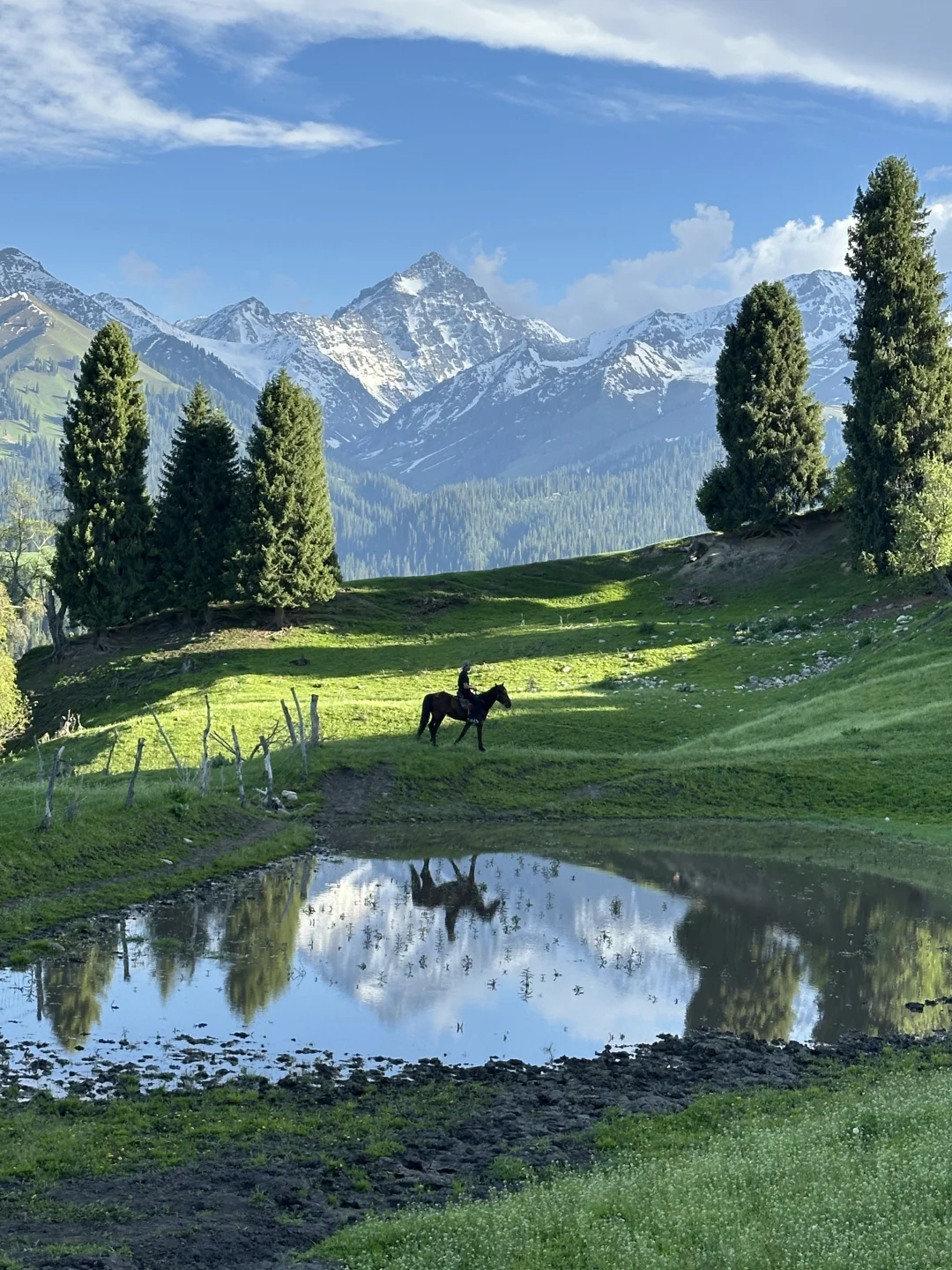 live｜新疆的初夏