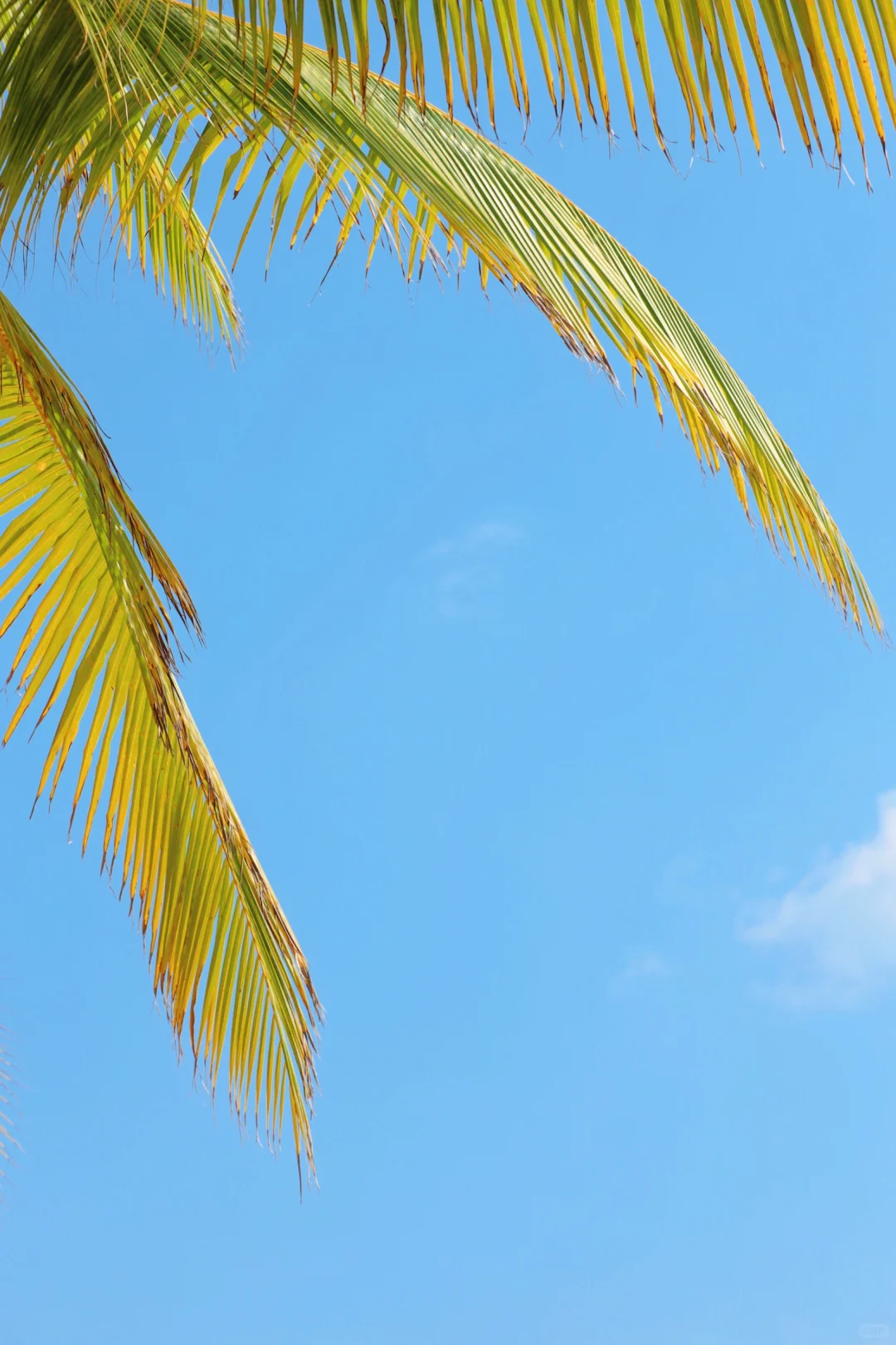 为了这几张图｜特地去了一趟大小洞天🏖️