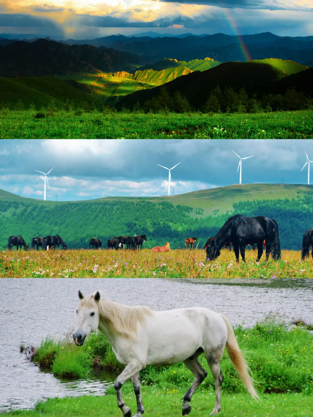 🌿误入上帝的后花园｜宫崎骏看了都得愣3秒‼️