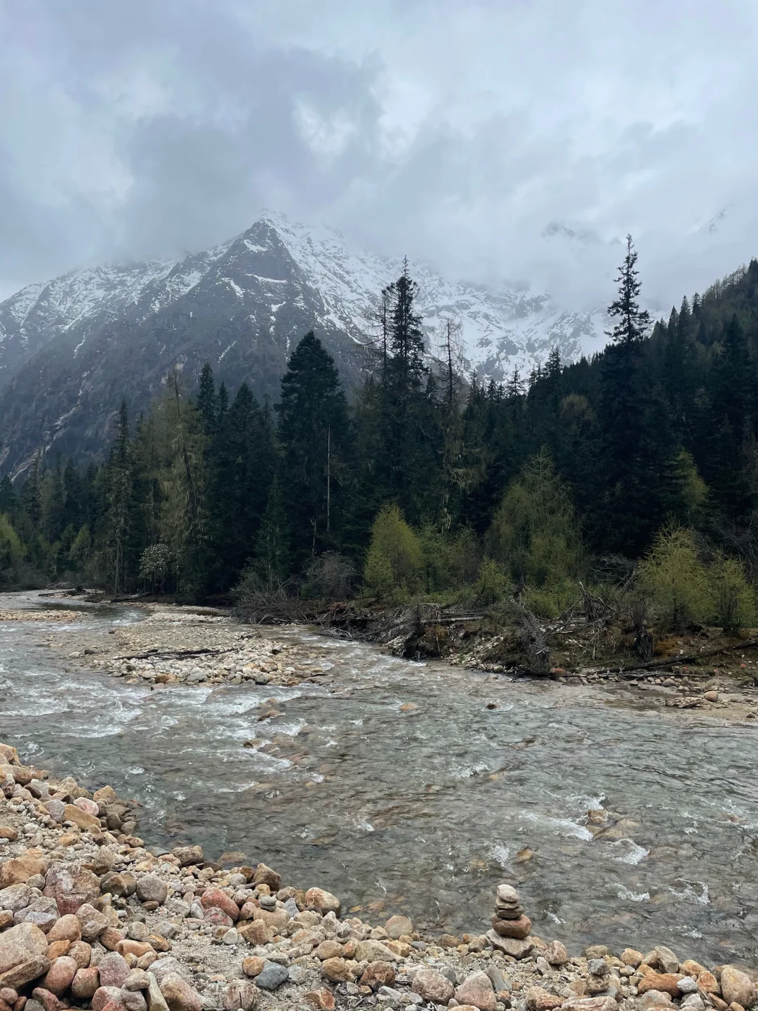 5.19📍四姑娘山实况，草绿了🌿端午来的听劝…