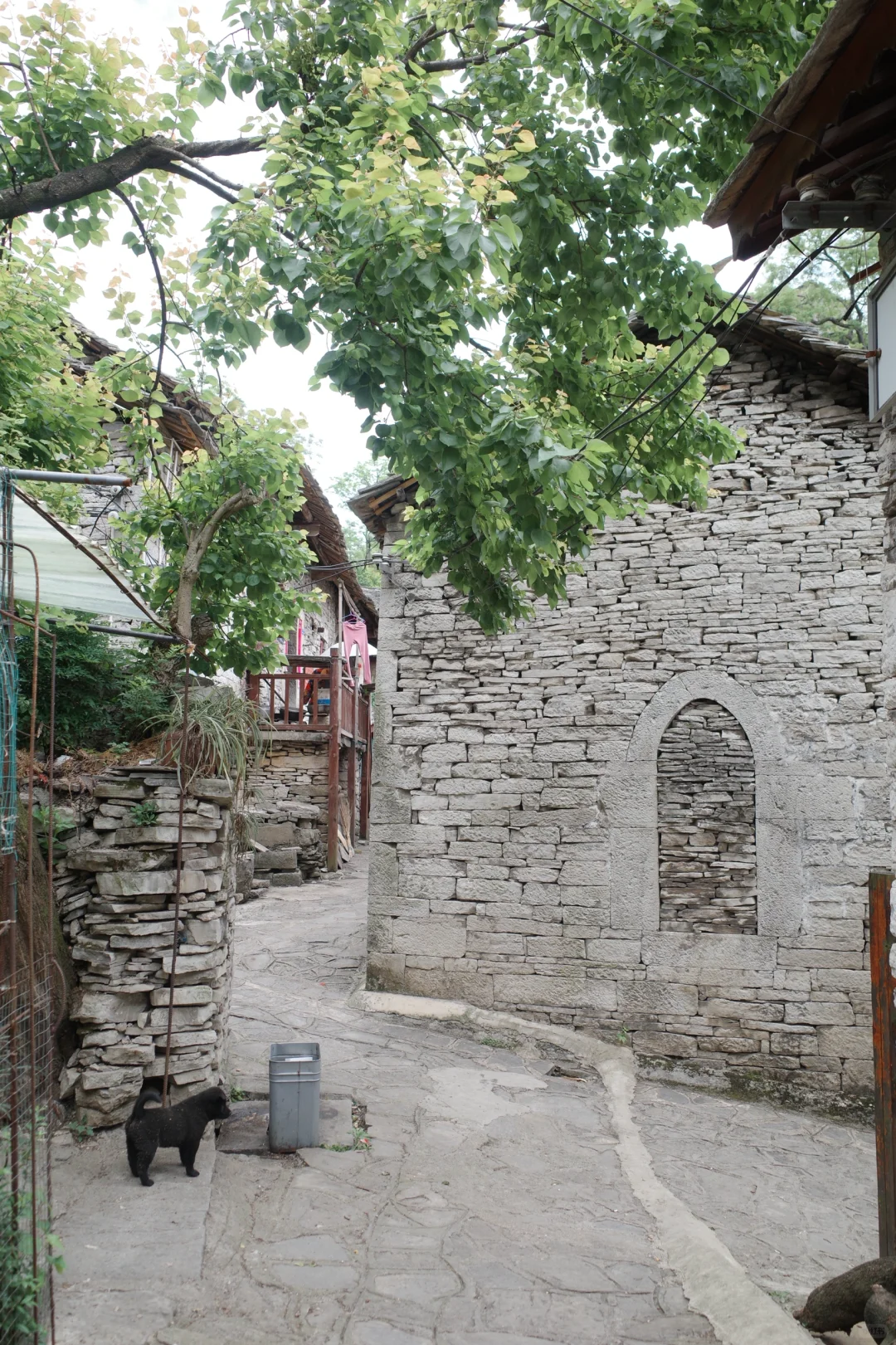 安顺|除了黄果树,这些小众景点值得解锁💓