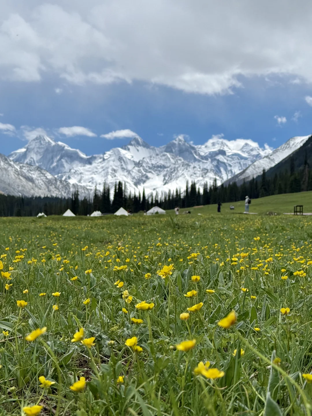 夏塔真的会惩罚每一个下午才进景区的人..