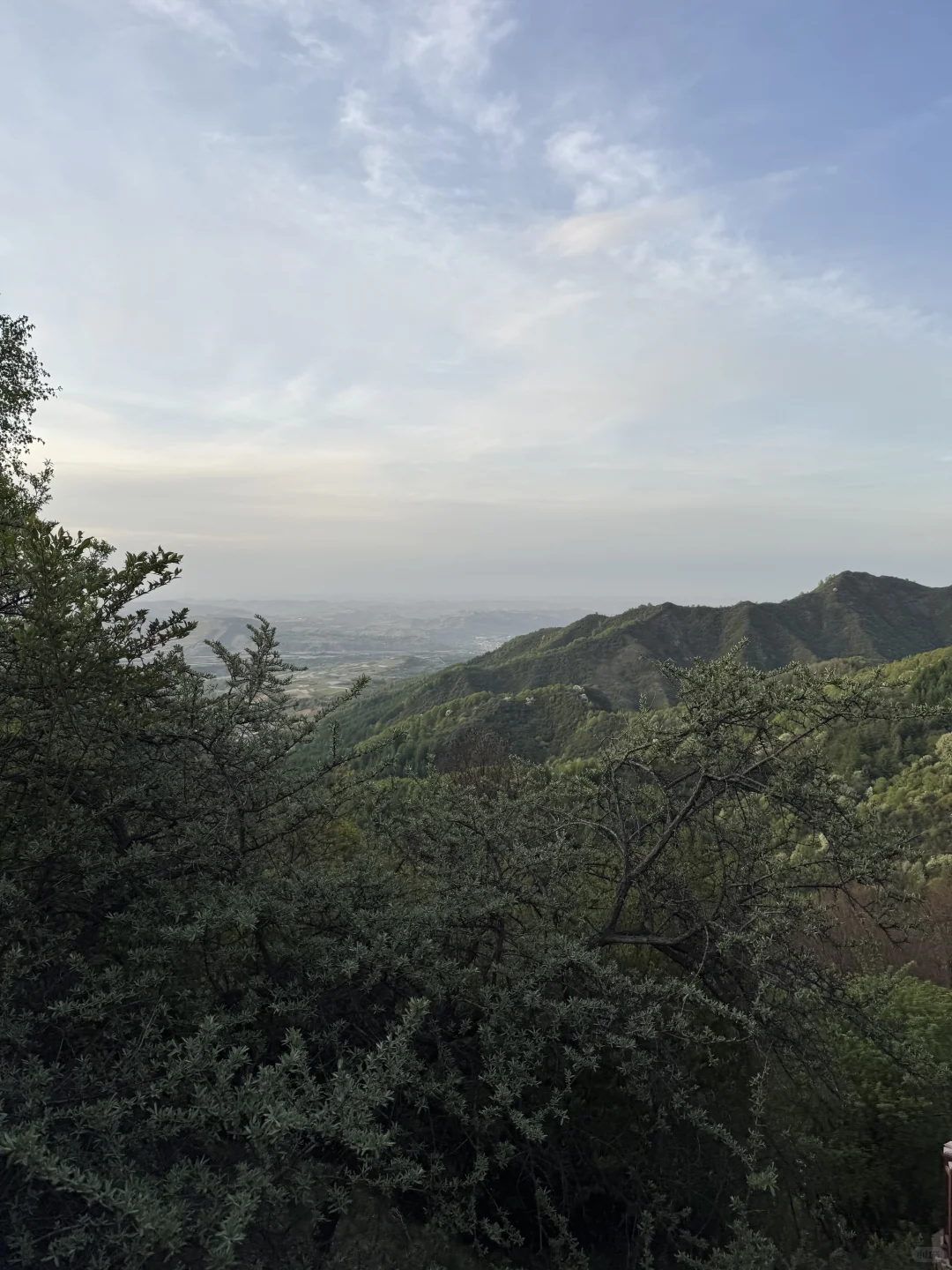 谁懂啊！我在渭河源遛娃遛到不想回家了！