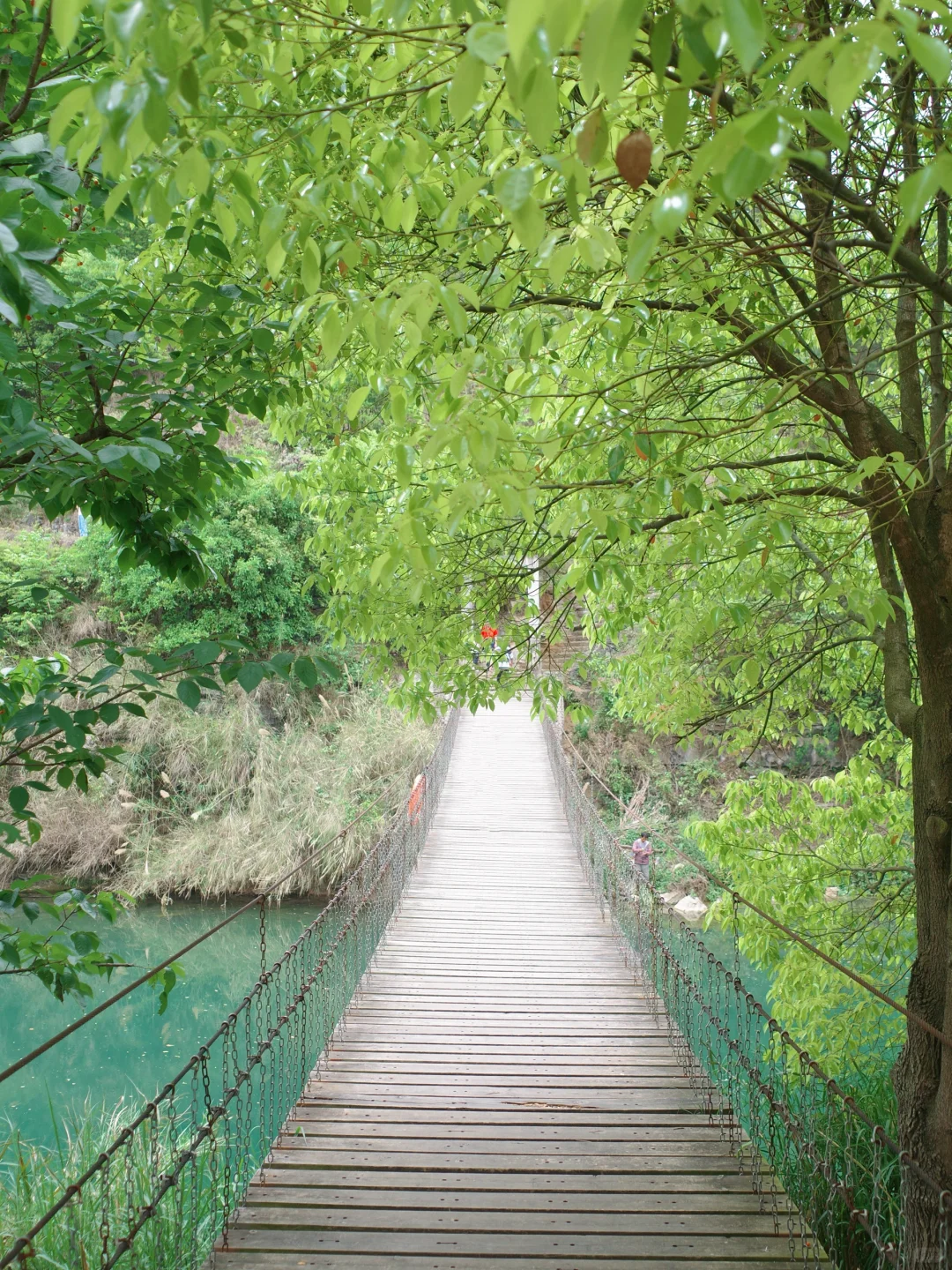 安顺|除了黄果树,这些小众景点值得解锁💓