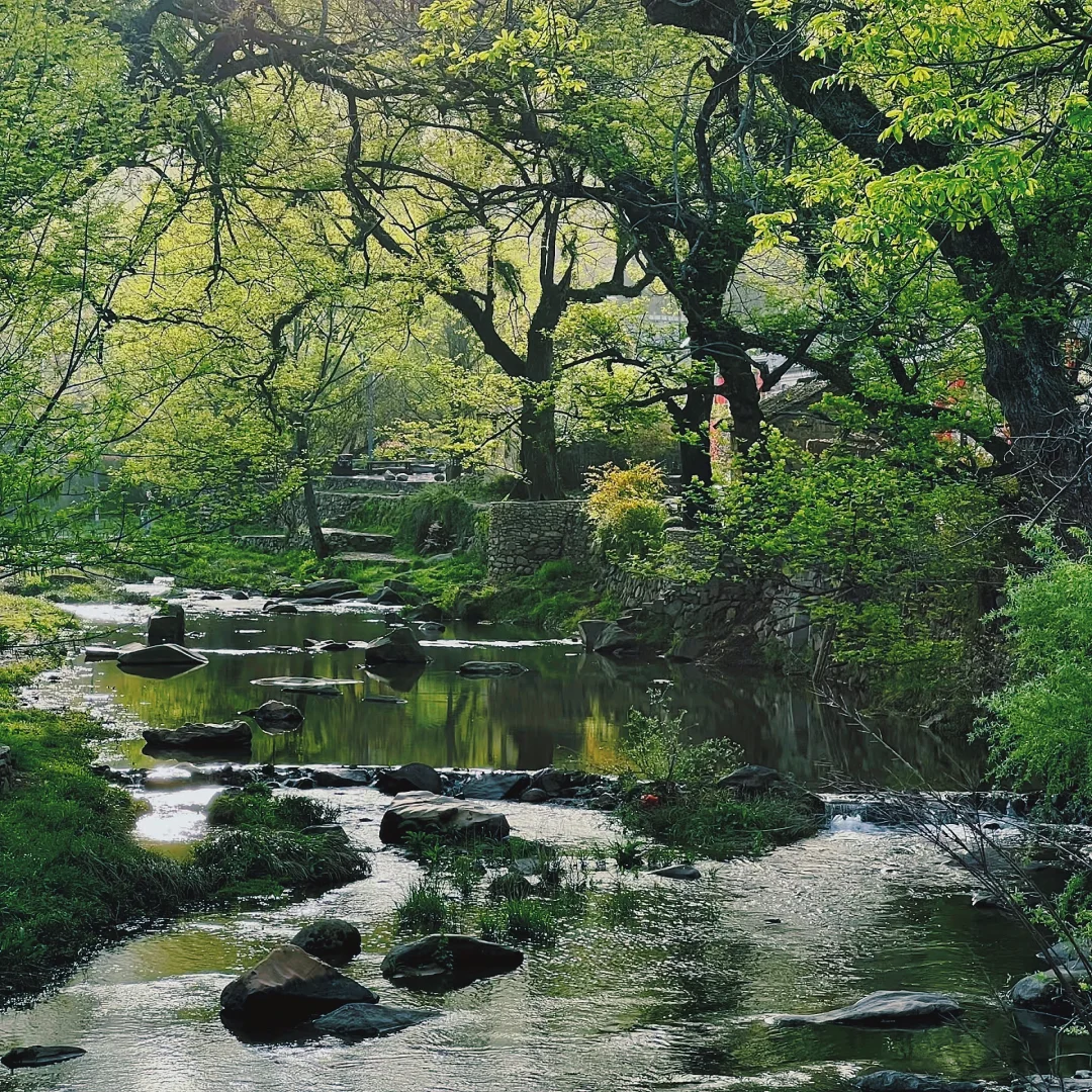 五一免费玩转河南“小江南”新县古村速藏