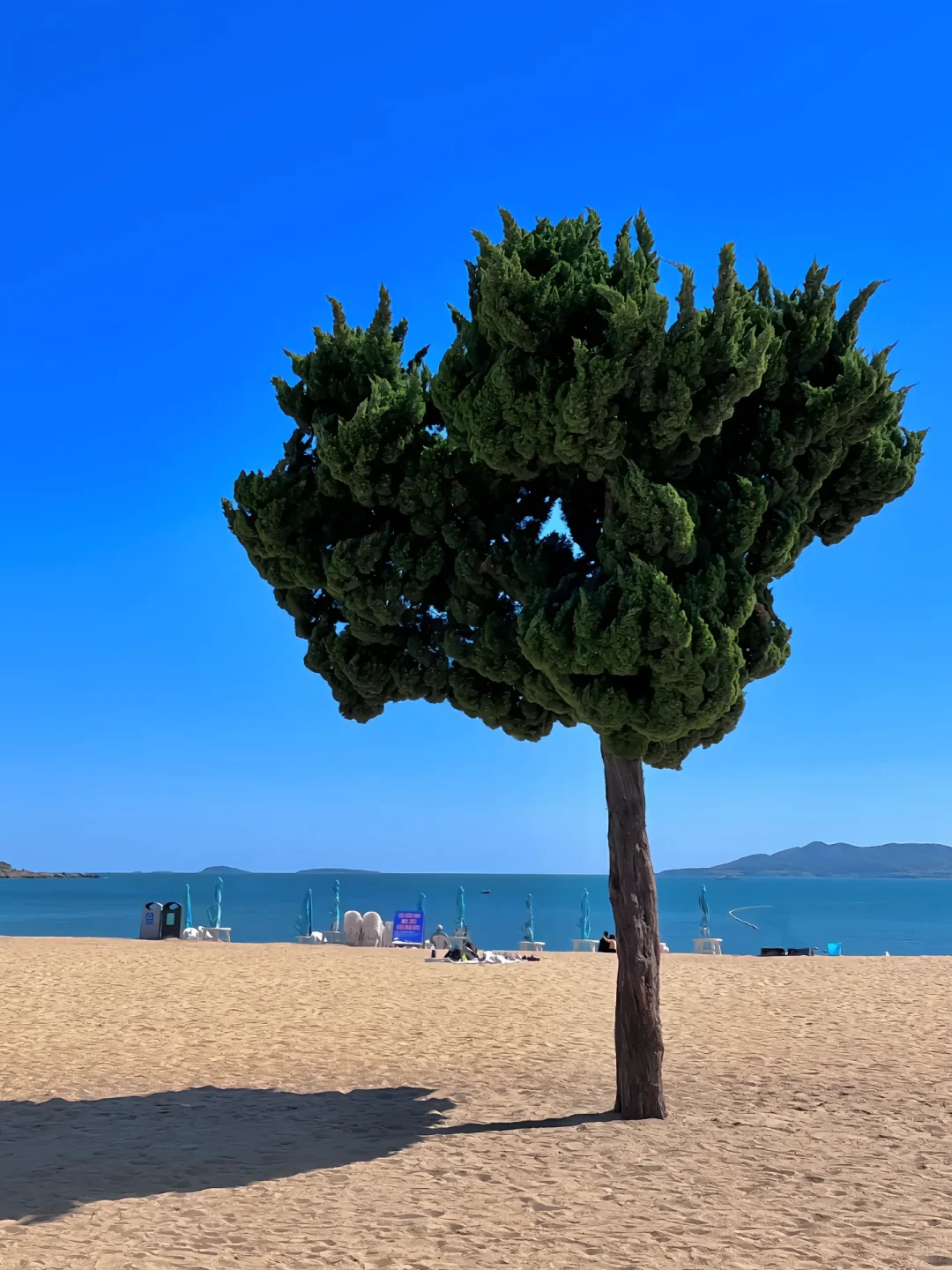 青岛三天两晚保姆级攻略|本地人私藏