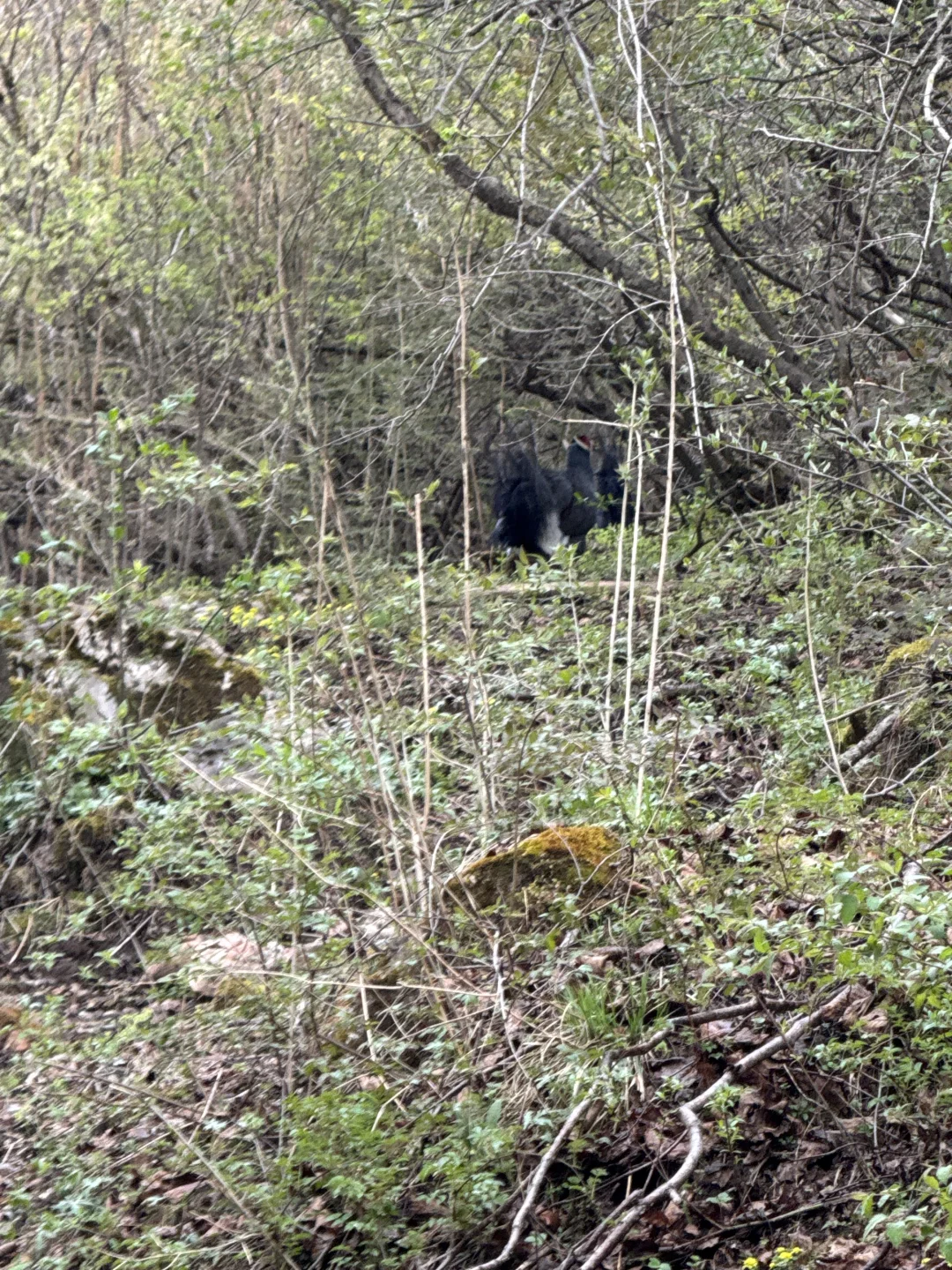 不想说太多，你去走走