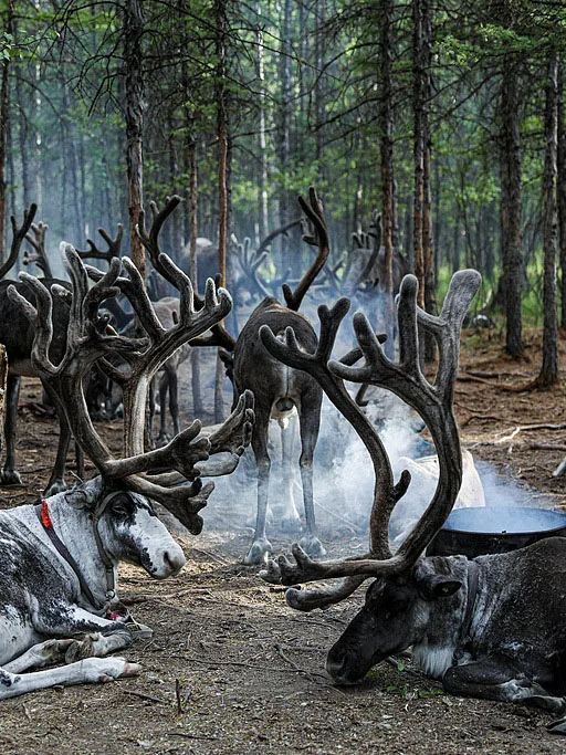 谁到内蒙古只为了看草原呀？内蒙景点汇总！