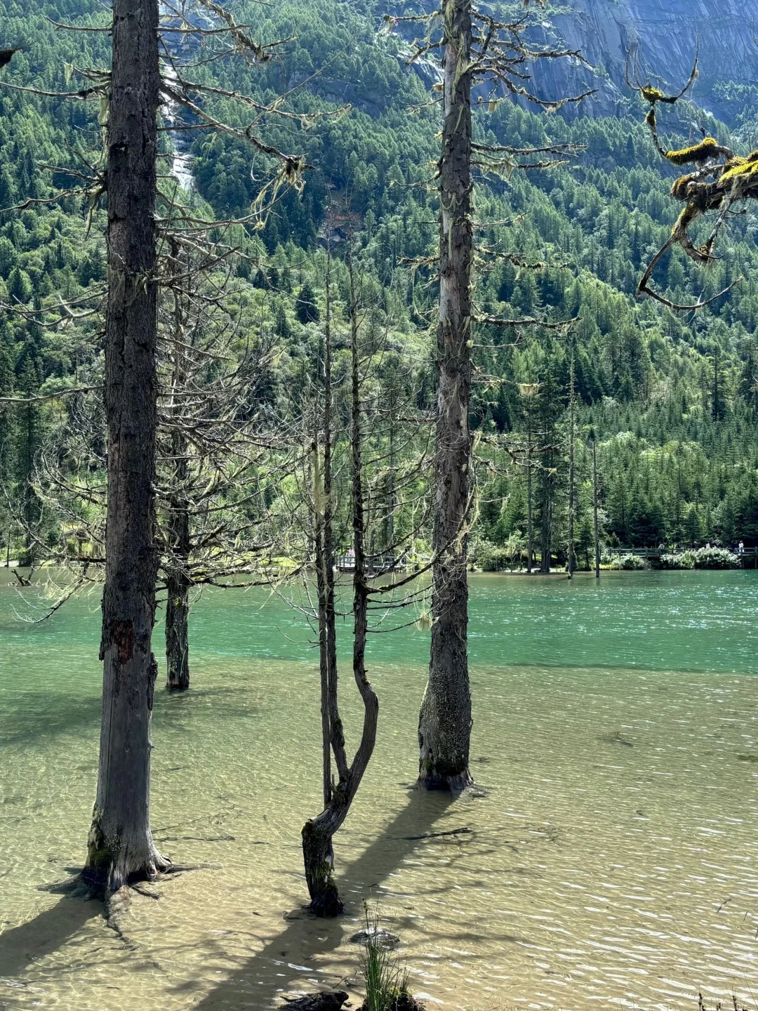 5.17📍四姑娘山豪赌成功,live📷原图直出