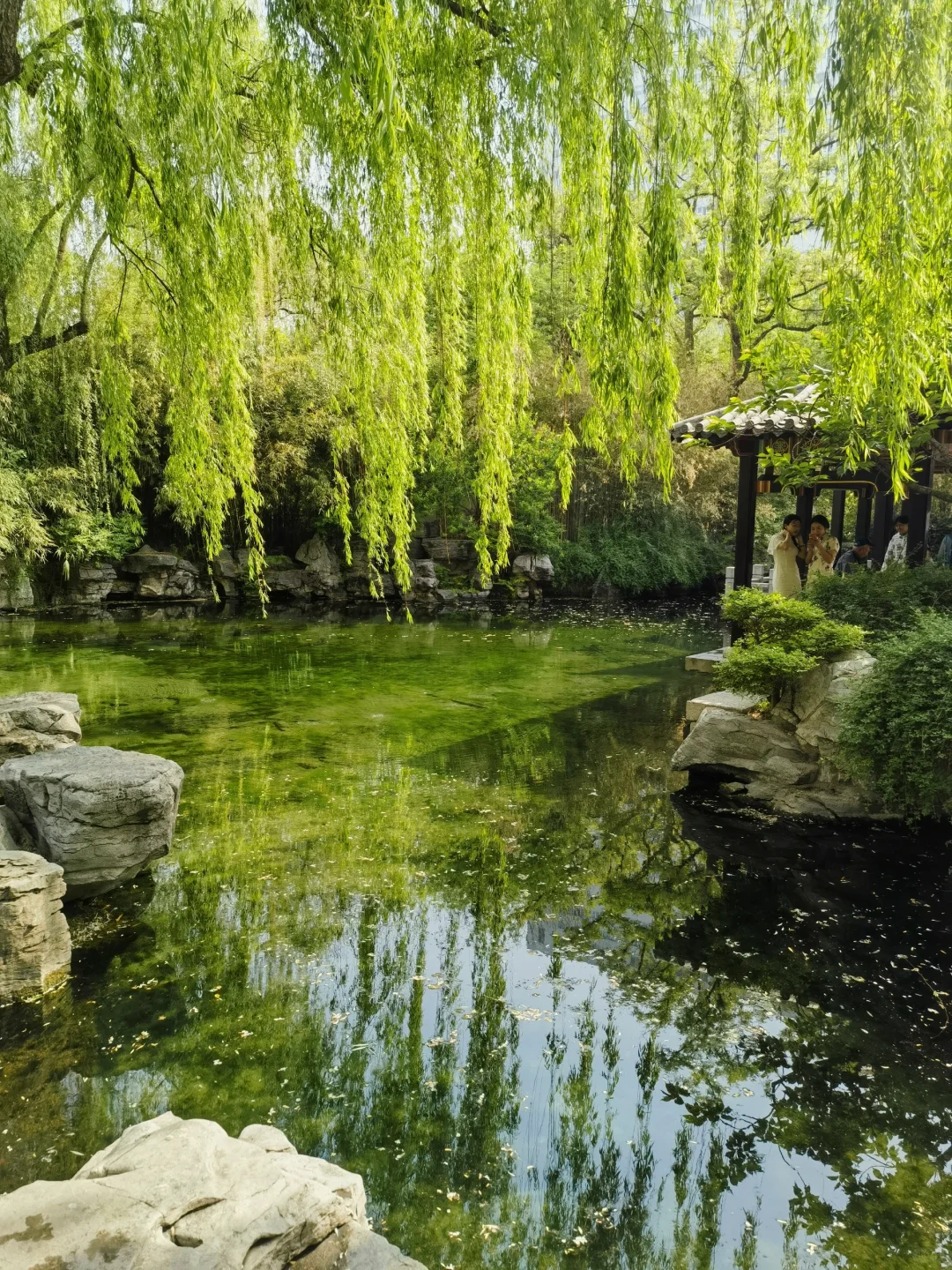 济南｜五龙潭公园