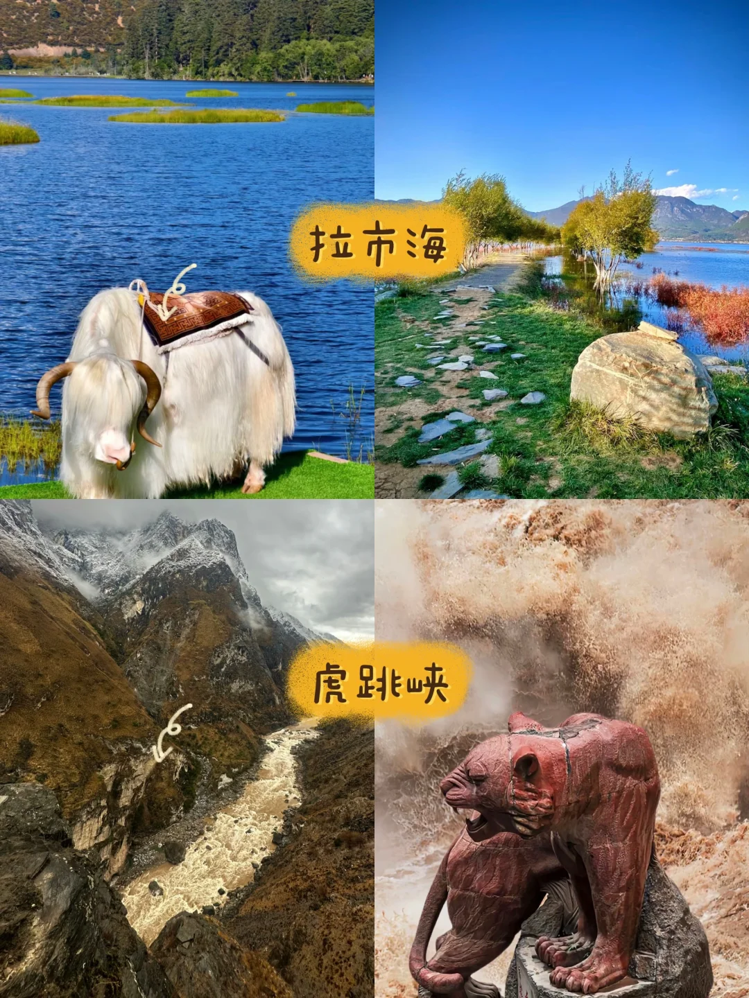 云南旅行必打卡！景点美食超全攻略🍜🏞️