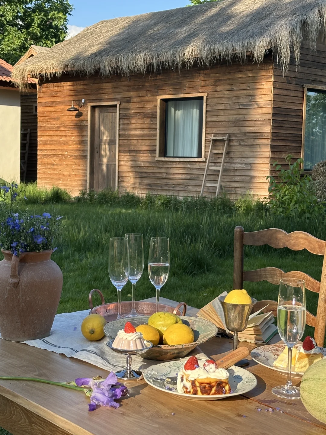 live｜新疆的初夏