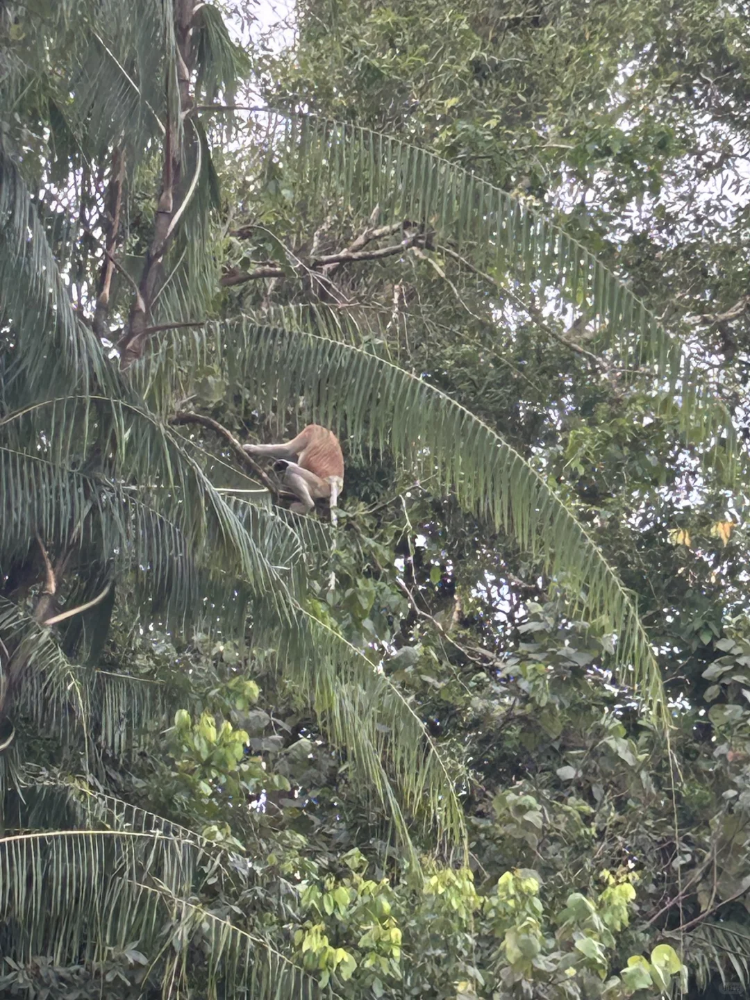女生SOLO旅行亚庇经验分享