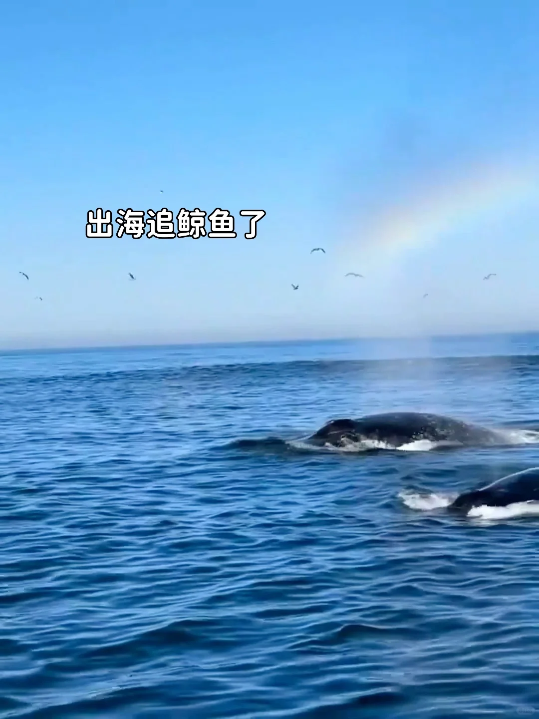 我发誓！真的在广西涠洲岛！！！不输济州岛