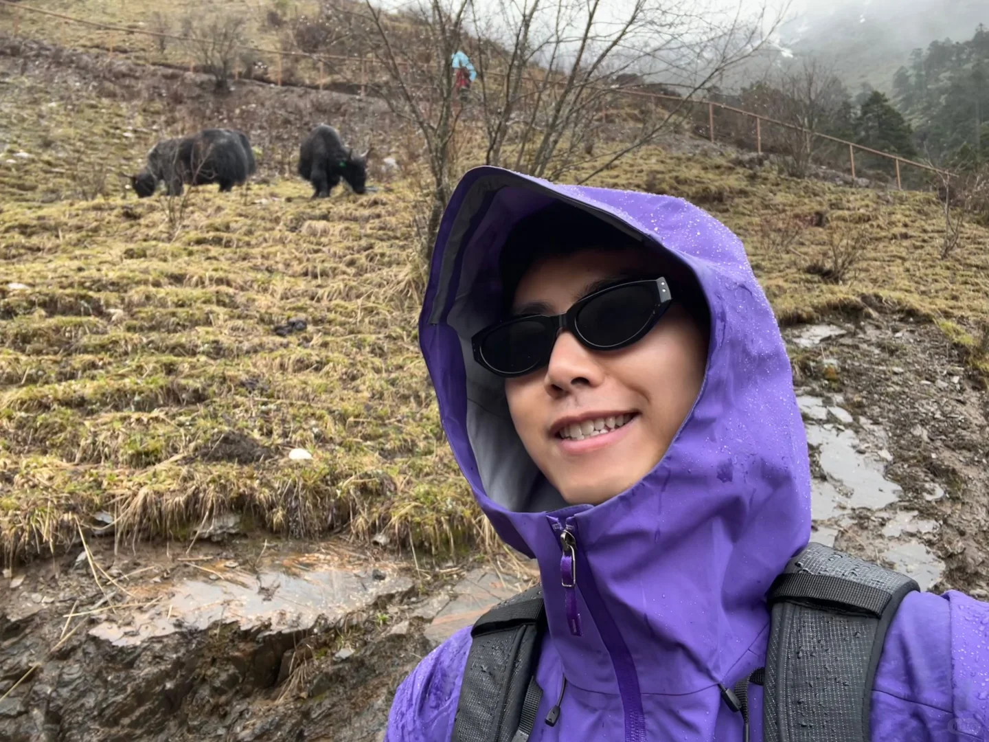 我在阿尔沟的雪山上找到了心动的感觉💓