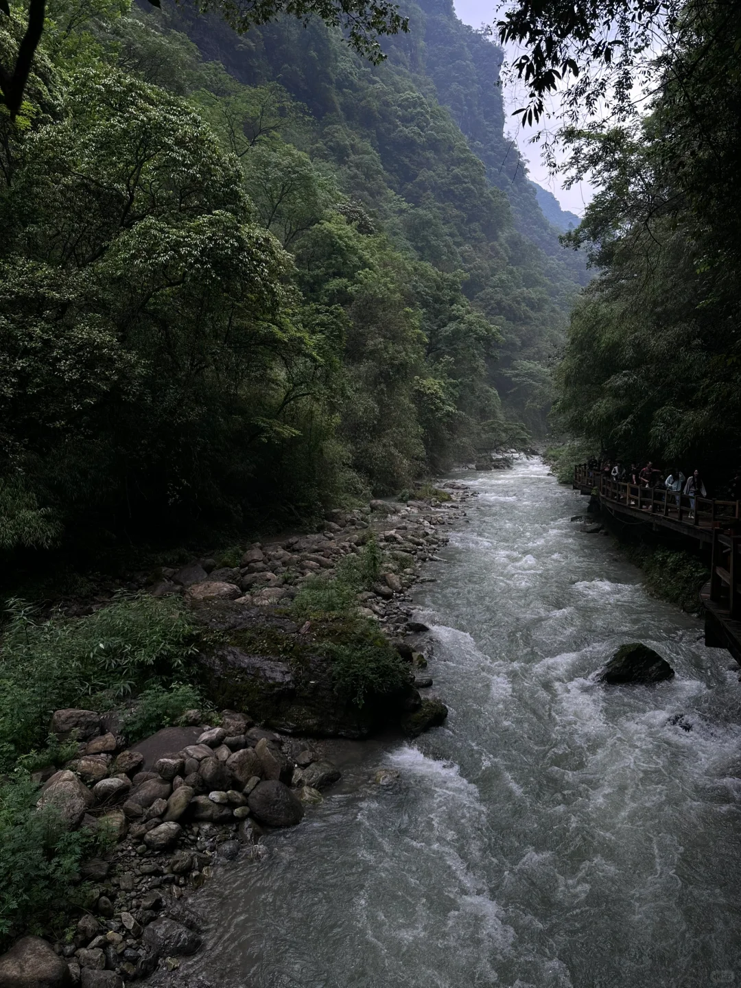 重庆周边一日游🌳向山而行