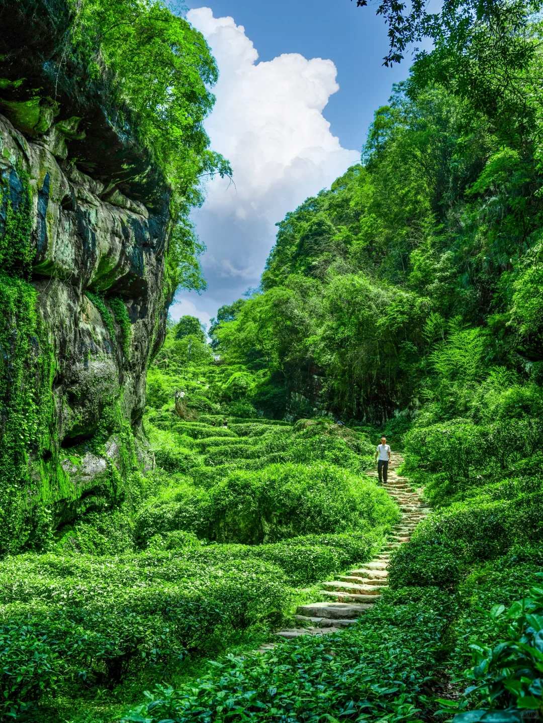 反向旅游天花板!江浙沪高铁2h直达人间仙境