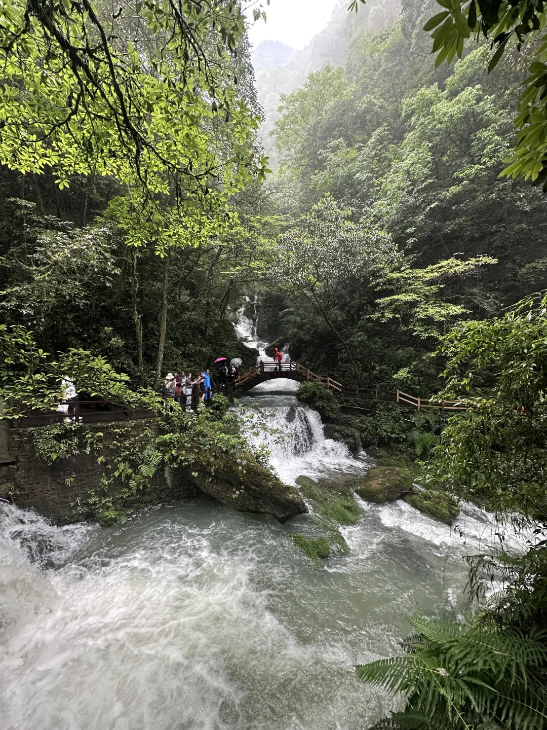 重庆周边一日游🌳向山而行
