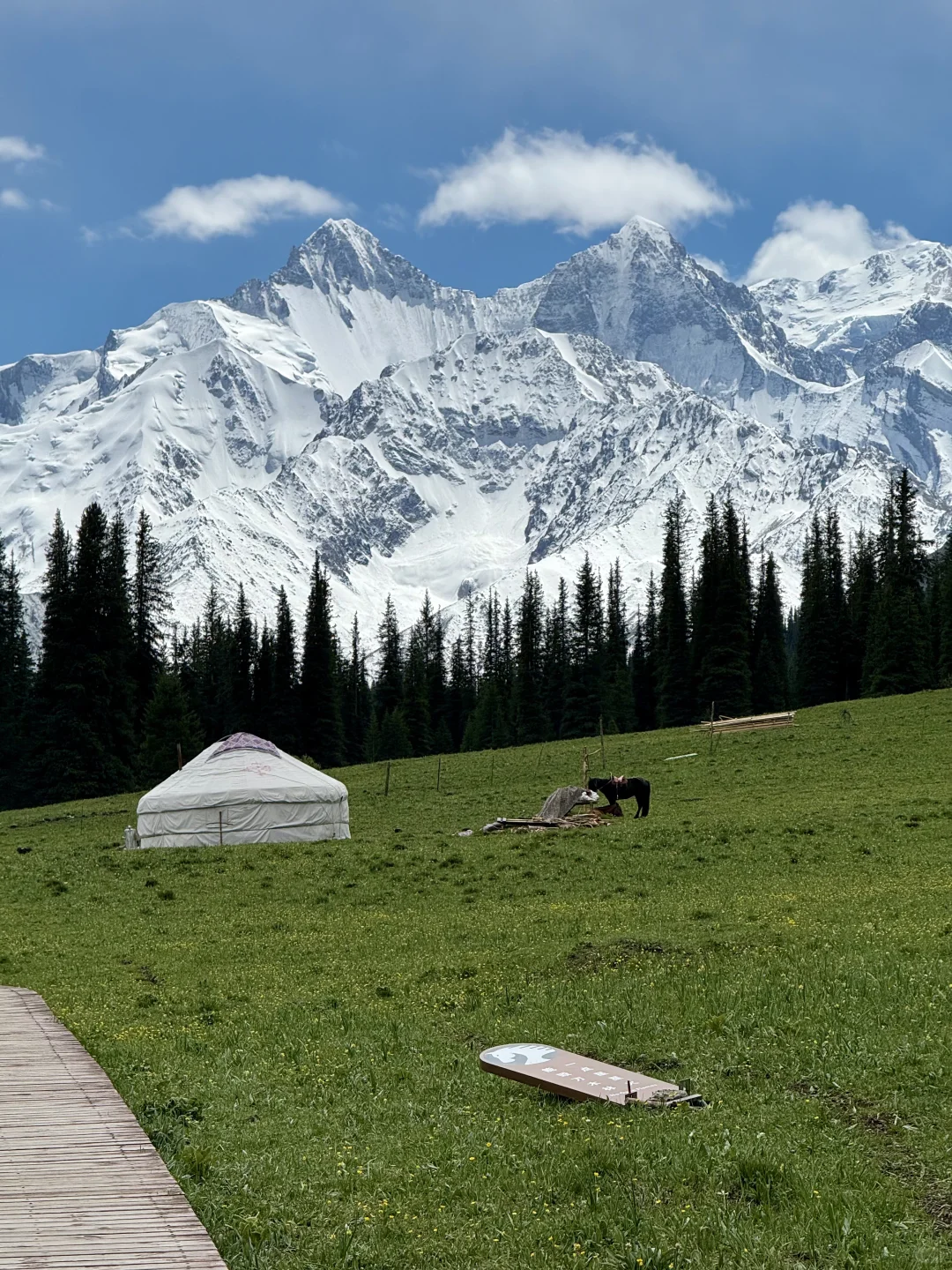 夏塔真的会惩罚每一个下午才进景区的人..