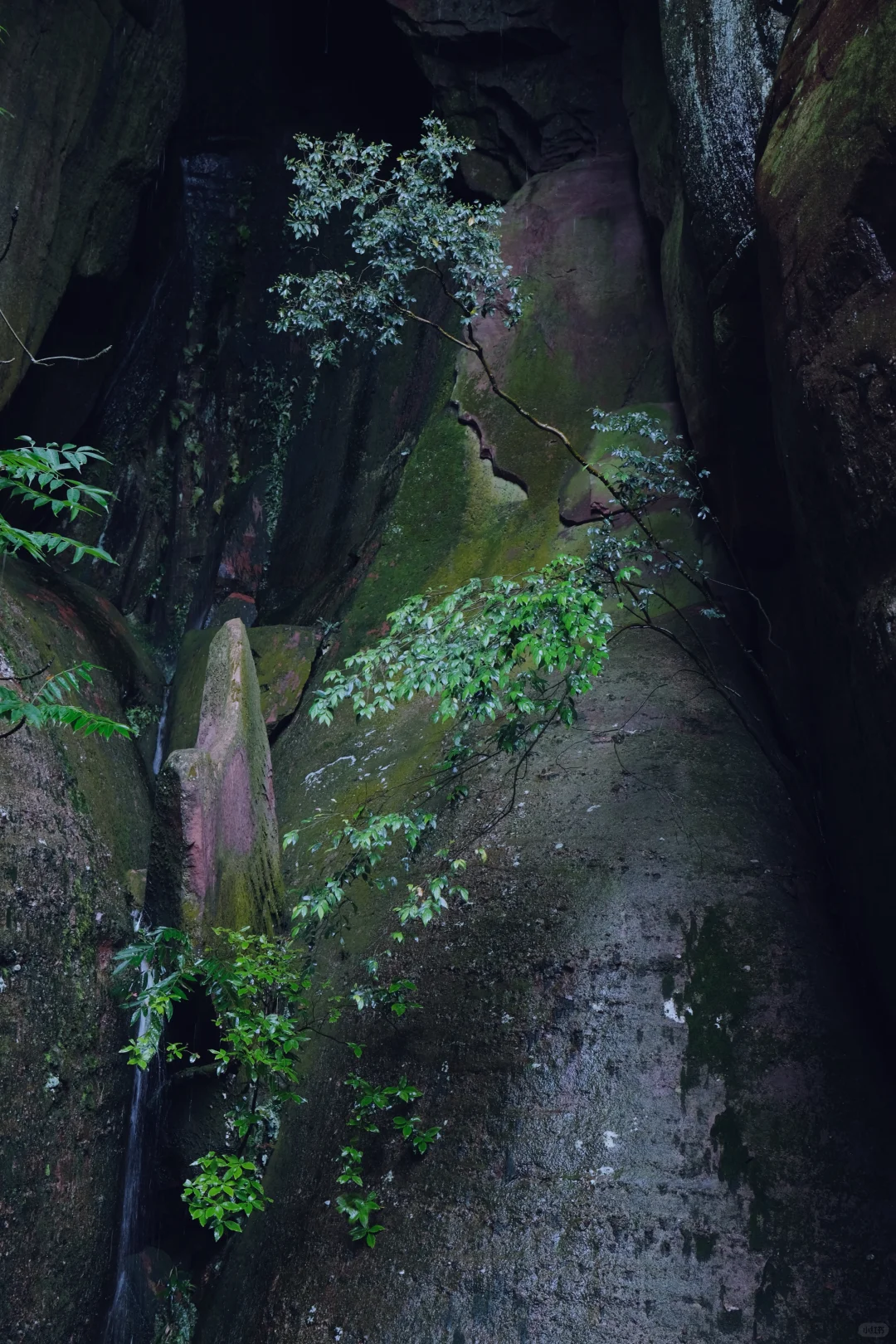 龟峰 江西旅游的宝藏地