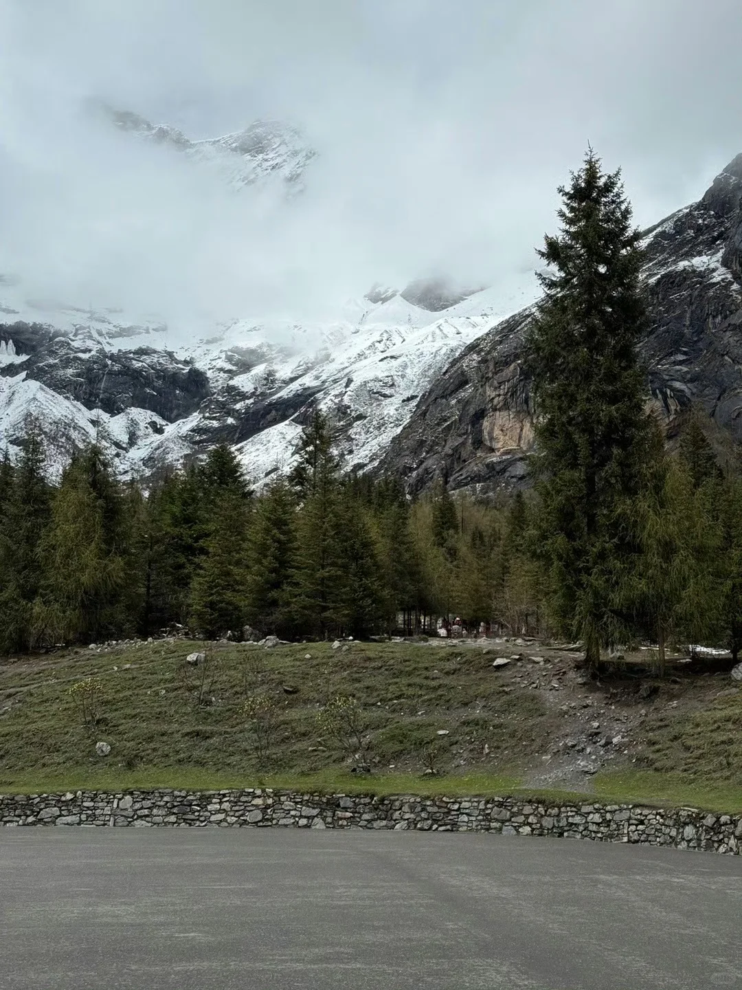 5.19📍四姑娘山实况，草绿了🌿端午来的听劝…