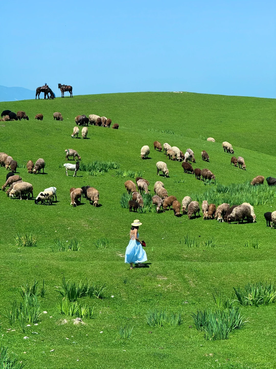 “在新疆拍到了我的人生live图~”